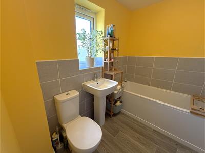 Picture 13